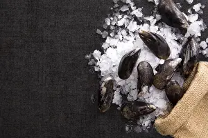 Appetizing Seafood Starters Drucke: Shells on ice on brown burlap bag