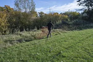 Shepherd In Germany Drucke: Shepherds dismantling willow nets