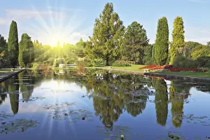 Empty Waterfront Scenery Drucke: Shining sharp rays of the sun reflected in the smooth blue water of the pond