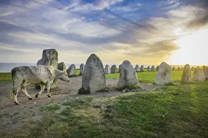 Scandinavian Heritage Sites Drucke: Ship setting Ales Stenar, Kaseberga