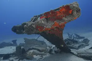 Russian Hydrofoil Wreck Drucke: Shipwreck with exposed, rusty structures and fish below