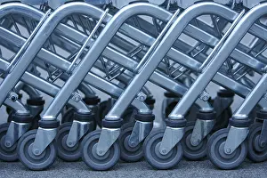 Shopping Cart Drucke: Shopping