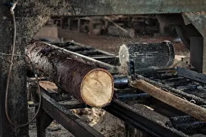 Sawmill Machinery Drucke: Detail shot of a machine cutting tree trunks in a sawmill