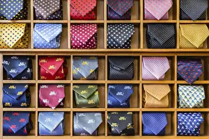Fashionable Accessories Drucke: Showcase with multicolored ties