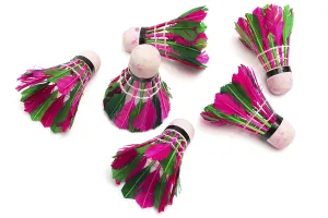 Copy Space For Text On White Background Drucke: Shuttlecock with feathers on a white background