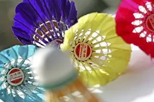 Colorful Bird Feathers Drucke: Shuttlecocks made in China