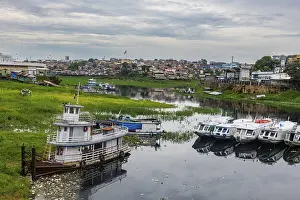 Manaus Drucke: Seitenwaffe der Amazonas, Manaus, Bundesstaat Amazonas.