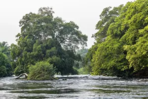 Flussarm des Kongo, DR Kongo.