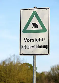 German Federal Republic Signs Drucke: Sign Caution! Toad migration in front of blue sky