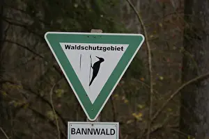 Central Europe Bird Photography Drucke: Sign in the forest, protected forest