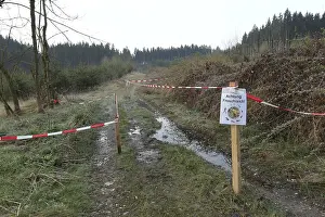 Forest Path Germany Drucke: Sign indicating frog spawn in a lane on a forest path