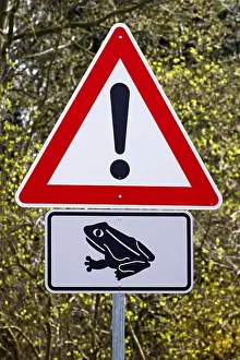 German Road Signs Drucke: Sign, toad migration in spring