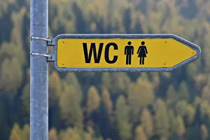 Directional Signpost Drucke: Signpost WC