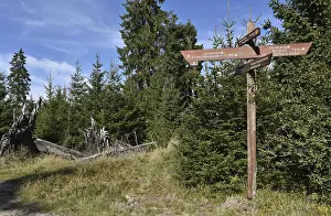 German Federal Republic Navigation Drucke: Signposts in the Harz Mountains