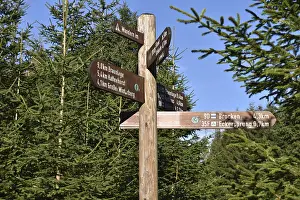 German Directional Signs Drucke: Signposts in the Harz Mountains