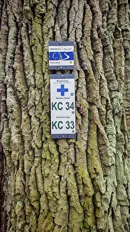 Central Europe Hiking Routes Drucke: Two signs attached to rough tree bark