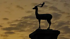 Dodecanese Islands Travel Photography Drucke: Silhouette of a Deer against the dramatic background of a sunset