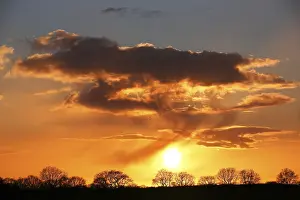 Atmospheric Nature Reserve Drucke: Silhouettes of trees against a cloudy sky at sunset