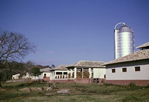 Historic Farm Buildings Drucke: Silos barns stables calves grazing