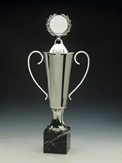 Ornate Decoration Drucke: Silver trophy