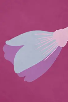 Drucke von Ein einfaches und modernes Blumenmuster in weichen, überlappenden Pastellfarben schafft eine ruhige visuelle Wirkung auf einem tiefen rosa Hintergrund Minimalistische Kunstwerke Drucke: Moderne Blumenmuster auf rosa Hintergrund
