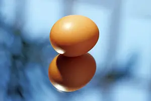 Delicate Food Photography Drucke: A single brown egg is artfully positioned on a reflective surface
