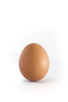 Breakfast Food Drucke: Single egg on white background vertical