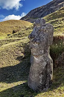Easter Island Drucke: A single moai against a hilly background in sunlight