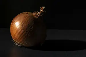 Plain Dark Background Drucke: Single onion placed in dramatic light and shadow on dark background