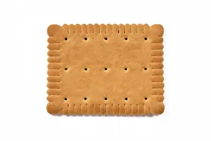 Studio Shot Dessert Drucke: Single rectangular biscuit isolated on white background