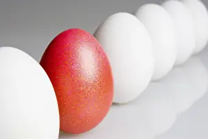 Still Life Images Drucke: Single red egg in a row of white eggs