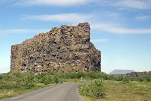 Icelandic National Park Photography Drucke: Single rock formation, small forest