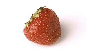Strawberry Nutrition Drucke: Single strawberry