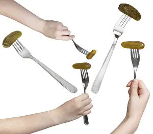 Isolated Food Images Drucke: Single table fork set with pickled cucumber on white background