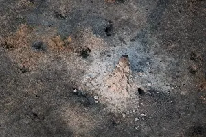 Drucke von Einzelnes Termitenhaus, Landschaft, Luftaufnahme des Okavangodeltas, in der Nähe von Maun, Okavangodelta, Botswana Maun Drucke: Ein einzelner Termitenhügel, Landschaft.