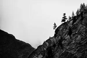 South Tyrol Photography Drucke: Single trees on rocky ridge in backlight