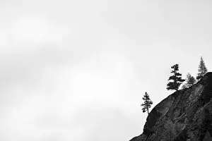 South Tyrol Photography Drucke: Single trees on rocky ridge in backlight