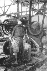 Early 20th Century Image Drucke: Sisal processing machine in German East
