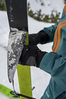 Young Skier Drucke: Ski tourers, during the up-lining