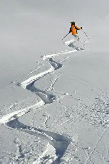 Winter Sports Drucke: Skiing in deep Snow