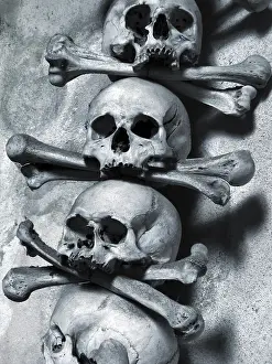 Deserted Graveyard Drucke: Skulls and bones