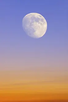 Empty Uninhabited Landscapes Drucke: Sky with the moon, composing