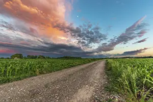 Cloudy Evening Sky France Drucke: Sky of pink and orange clouds over the fields in the evening at sunset