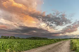 Deserted Farmland Landscape Drucke: Sky of pink and orange clouds over the fields in the evening at sunset