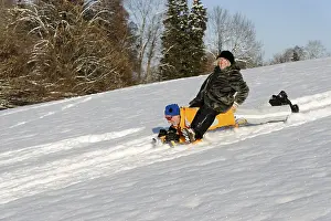 Leisure Activities Drucke: Sledding