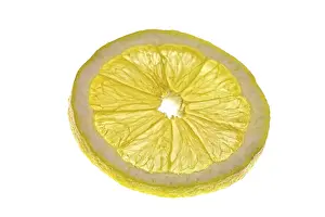 Fresh Citrus Fruit Photography Drucke: Slice of lemon, cut out, close up