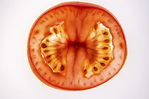 Solanaceae Plant Images Drucke: Slice of a tomato, fruit vegetables