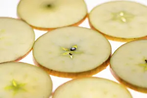 Healthy Eating Tips Drucke: Sliced apple