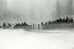 Frosty Winter Scene Drucke: Slots of little thin with tiny icicles dripping spring