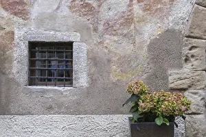 Ornate Building Design Drucke: Small barred window, flower pot with hydrangea